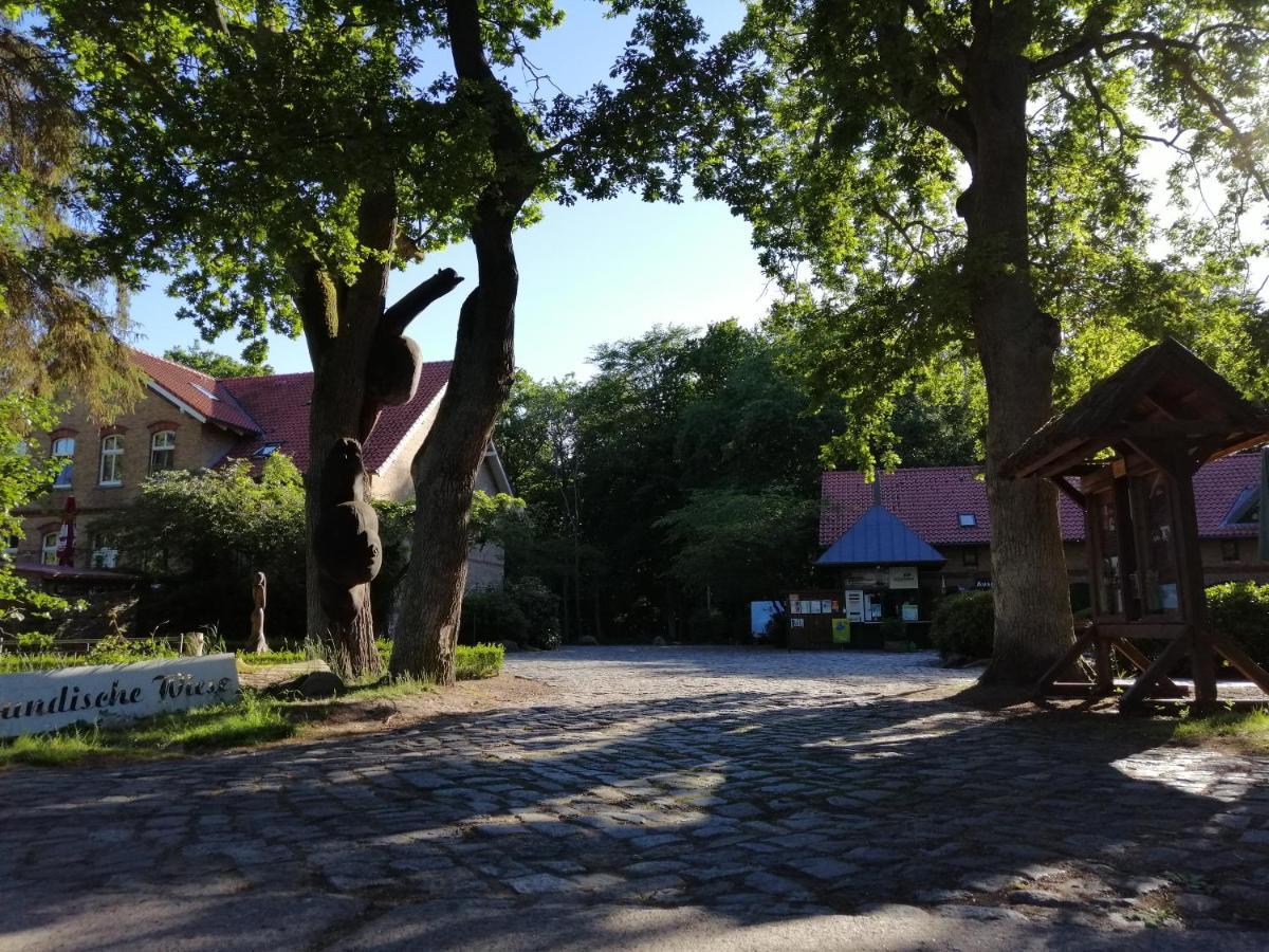 Hotel Schloesschen Sundische Wiese Zingst Esterno foto