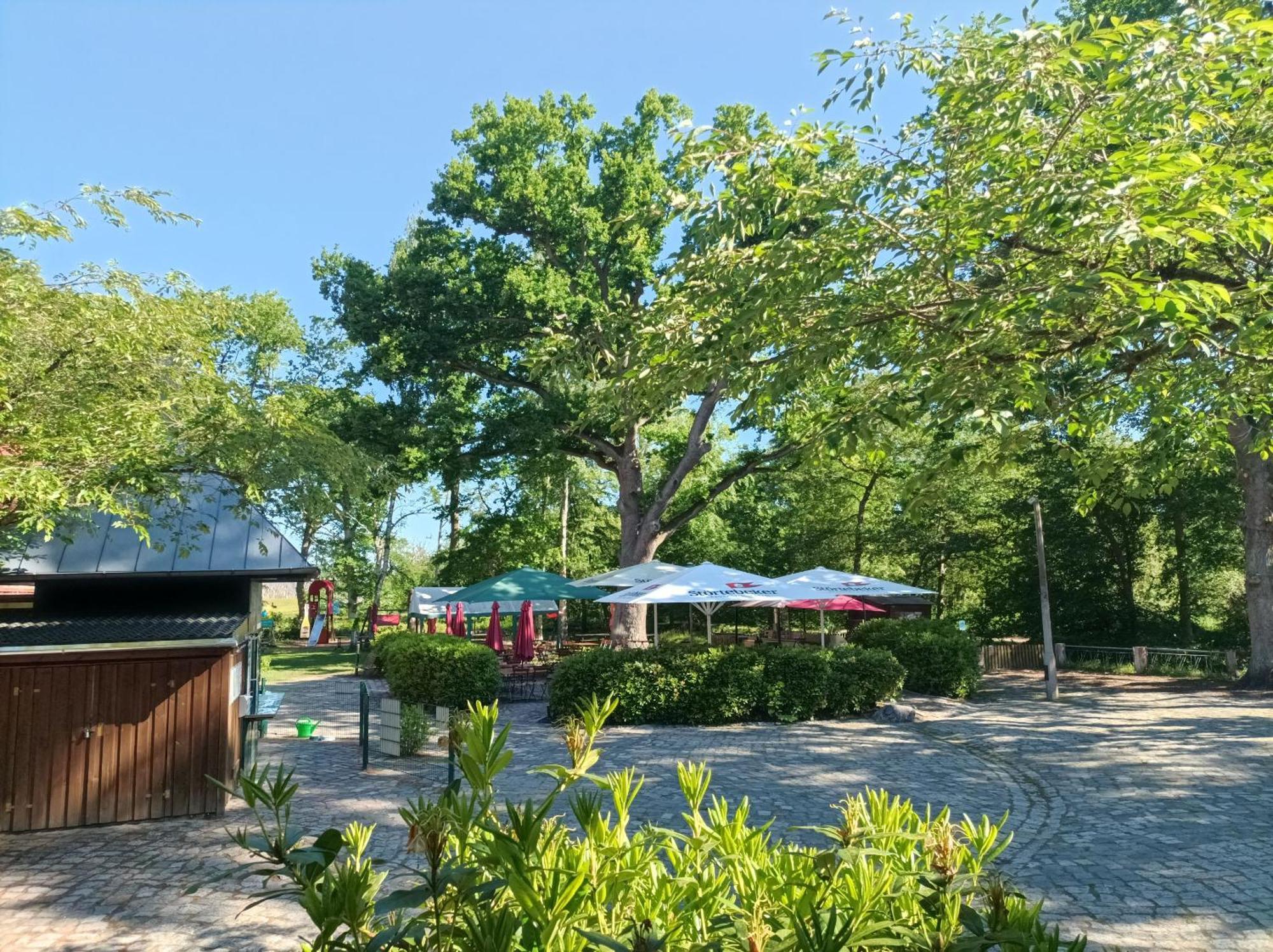 Hotel Schloesschen Sundische Wiese Zingst Esterno foto