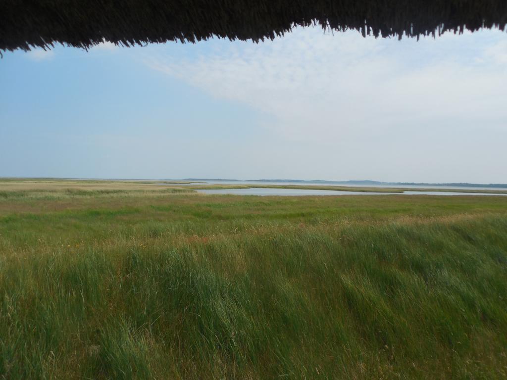 Hotel Schloesschen Sundische Wiese Zingst Esterno foto